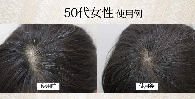 50代女性 使用例